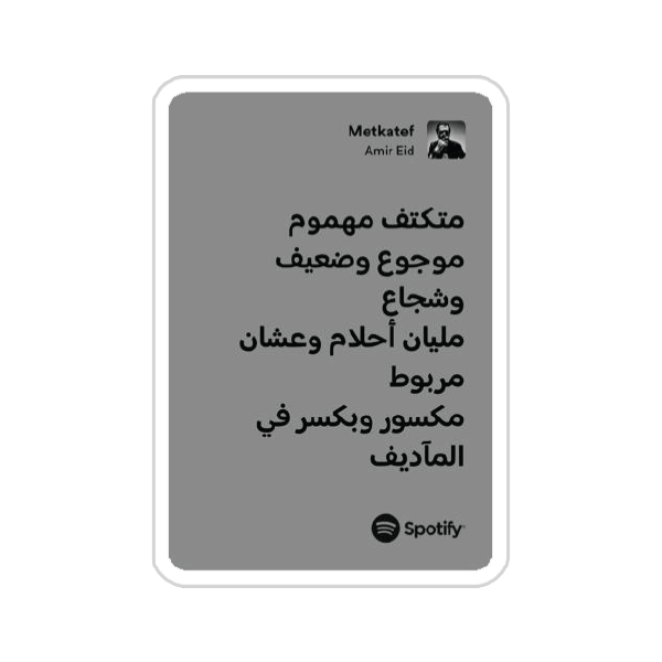 cairokee (27)