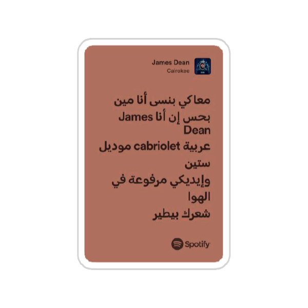 cairokee (35)