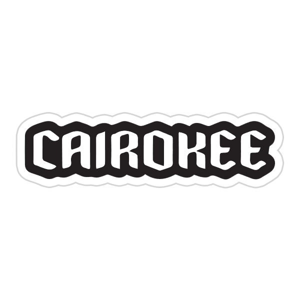 cairokee (48)